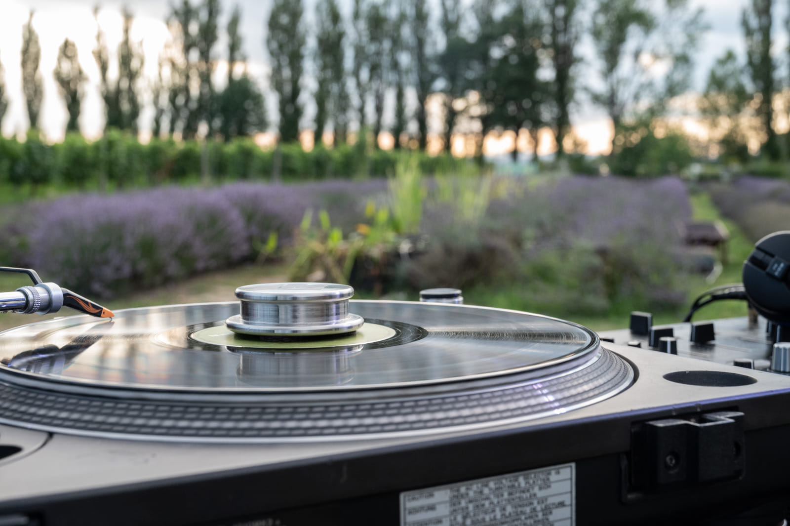 Cambio Festival – Dj